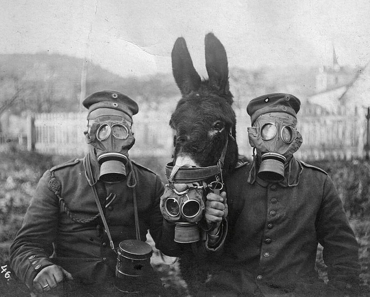 gas masks, World War I, monochrome, soldier, HD wallpaper