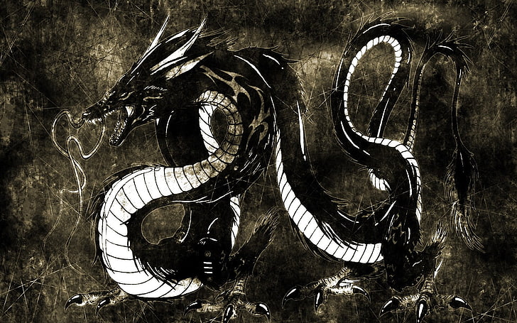 черно-белый рисунок дракона, дракон, черный, белый, фэнтези-арт, произведение искусства, HD обои