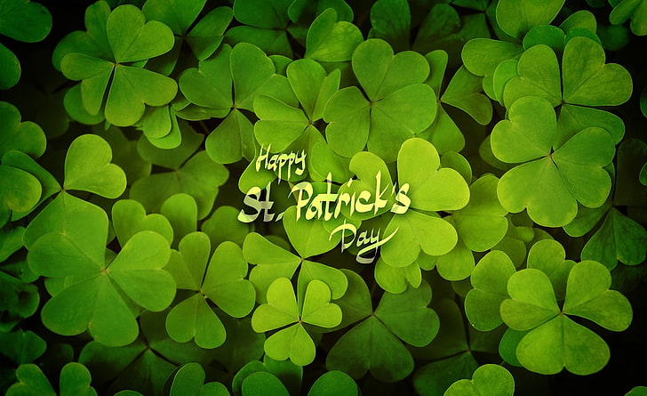 Bonne Saint-Patrick, vacances, Saint-Patrick, vert, heureux, chanceux, trèfle, chance, trèfle porte-bonheur, patrick's day, 2015, Fond d'écran HD