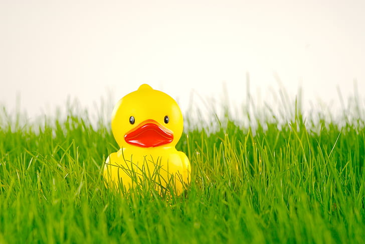 Rubber Duck On Grass, grass, rubber duck, cute, 3d and abstract, HD wallpaper