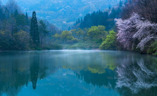 зеленое лиственное дерево, природа, фотография, пейзаж, озеро, лес, весна, утро, отражение, холмы, цветы, солнечный свет, туман, синий, Южная Корея, HD обои HD wallpaper