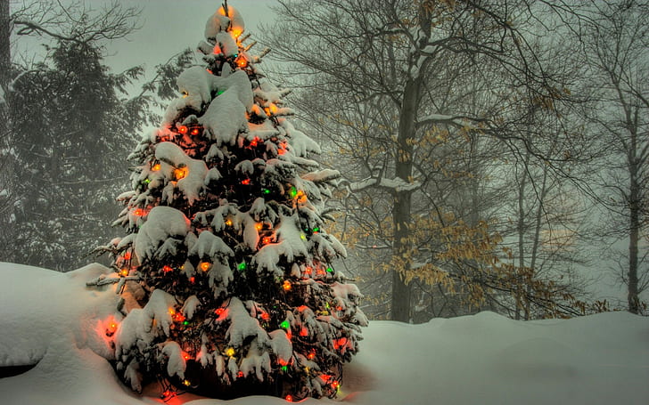 Снег ёлка, елка с проволочными огнями, елка, снег, рождество, праздники, HD обои
