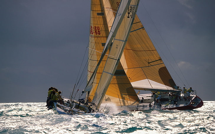 three brown sailboats, sea, photo, yacht, sailing, HD wallpaper