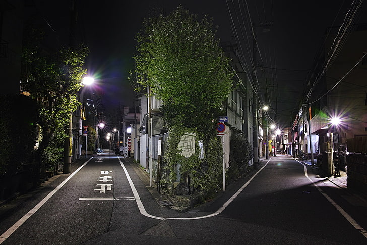 녹색 잎 나무, 도시 풍경, 사진, 일본, 밤, 가로등, HD 배경 화면
