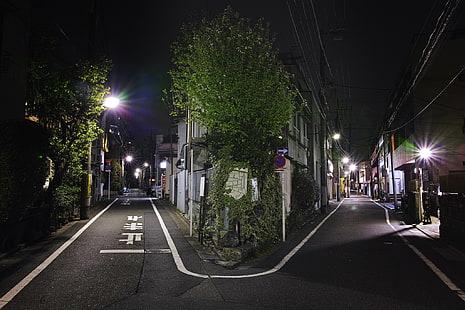 شجرة الورقة الخضراء ، سيتي سكيب ، التصوير الفوتوغرافي ، اليابان ، الليل ، ضوء الشارع، خلفية HD HD wallpaper