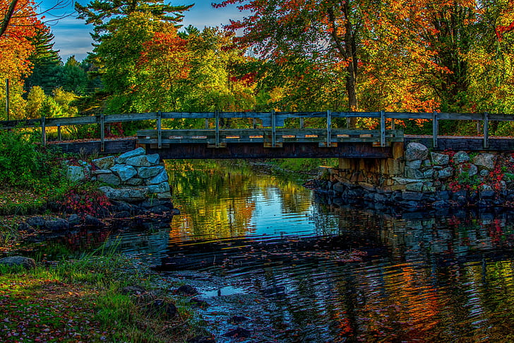 Der Himmel, Fluss, Wald, Brücke, Fluss, Wald, Bäume, der Himmel, Herbst, HD-Hintergrundbild