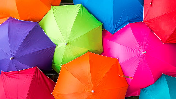 사진, 우산, 화려한, 색상, HD 배경 화면