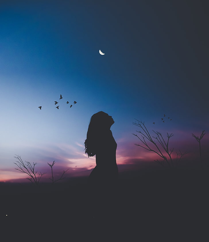 silueta de mujer, niña, silueta, luna, pájaros, noche, armonía, soledad, Fondo de pantalla HD, fondo de pantalla de teléfono