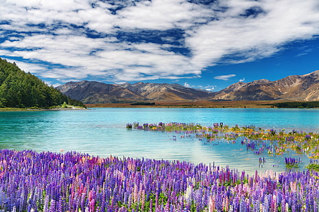 Jezioro Tekapo Miasto na Wyspie Południowej Nowa Zelandia Wiosenne kwiaty jezioro góry niebo białe chmury Piękny krajobraz Tapeta HD 4250 × 2656, Tapety HD HD wallpaper