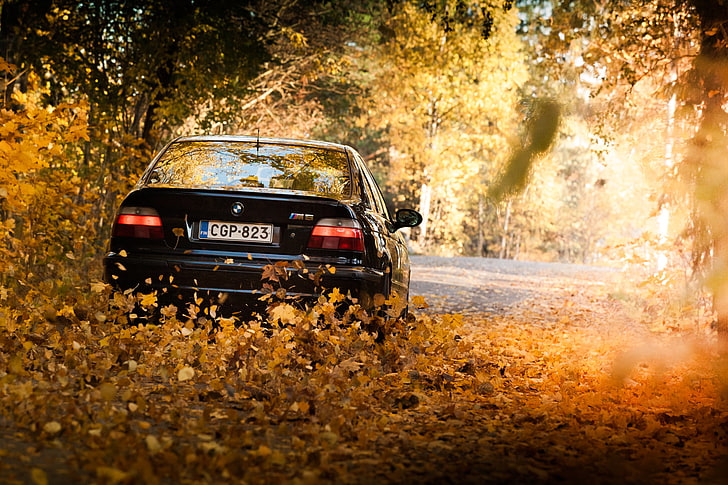białe BMW M3, liście, światła, BMW, czarne, E39, jesień, Tapety HD