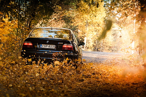 vit BMW M3, löv, lampor, BMW, svart, E39, höst, HD tapet HD wallpaper
