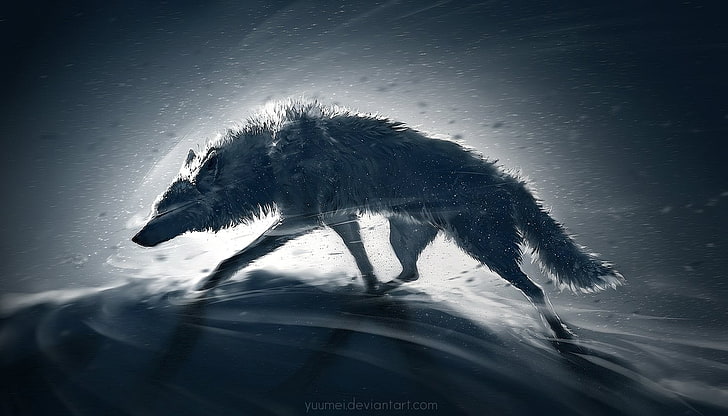 ilustracja szarego wilka, zwierzęta, wilk, Tapety HD