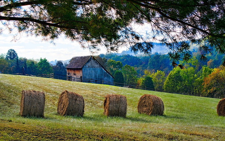 brown hay on field, photography, nature, landscape, barn, fence, field, forest, grass, trees, fall, HD wallpaper
