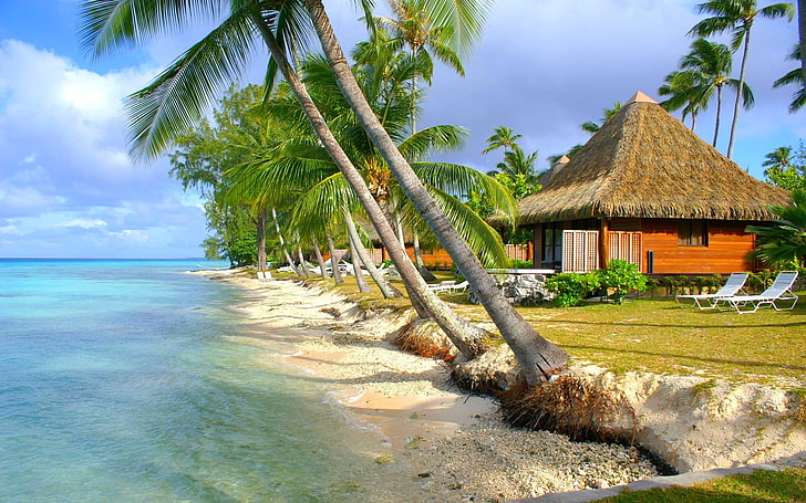 naturaleza, paisaje, tropical, playa, mar, isla, palmeras, bungalow, verano, Fondo de pantalla HD