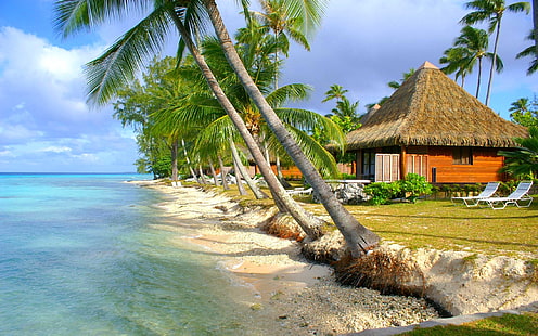 nature, landscape, tropical, beach, sea, island, palm trees, bungalow, summer, HD wallpaper HD wallpaper