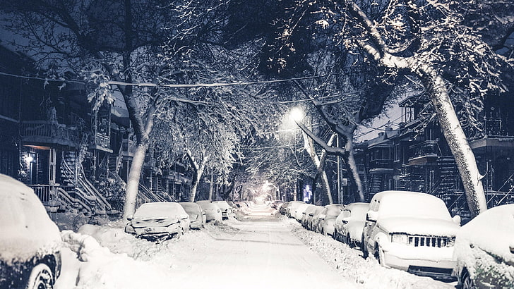 улица, снег, снежный, нью-йорк, зима, дерево, природа, замораживание, нью-йорк, черно-белое изображение, мороз, объединение штатов, зимний шторм, монохромная фотография, монохромный, HD обои