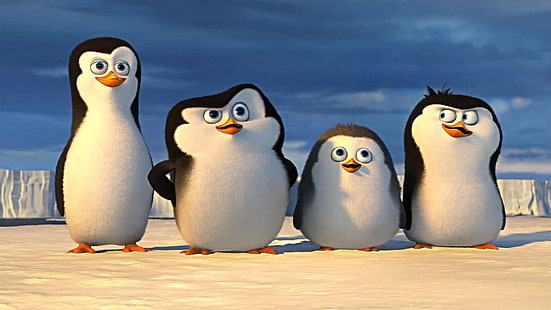 pinguini del Madagascar, Sfondo HD HD wallpaper