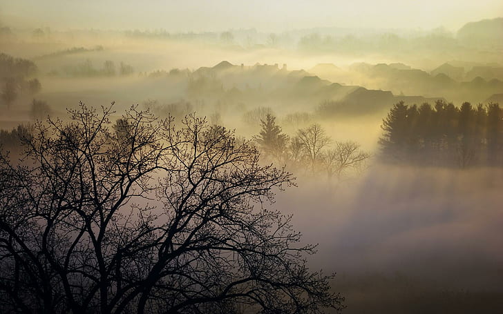 Village Shrouded In Sunrise Fog, silhouette photo of trees, trees, village, sunrise, nature and landscapes, HD wallpaper