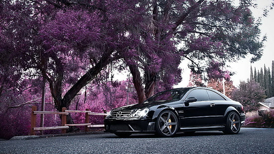 Mercedes AMG Trees HD, черен mercedes benz w203, автомобили, дървета, mercedes, amg, HD тапет HD wallpaper