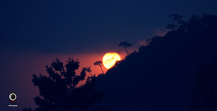 visualizzazione della luna piena, tramonto, natura, sole, fotografia, buio, alberi, Sfondo HD