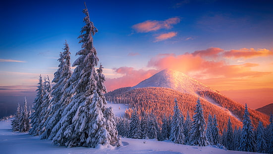หิมะฤดูหนาวภูเขาพระอาทิตย์ตกเย็นทิวทัศน์ป่า, วอลล์เปเปอร์ HD HD wallpaper