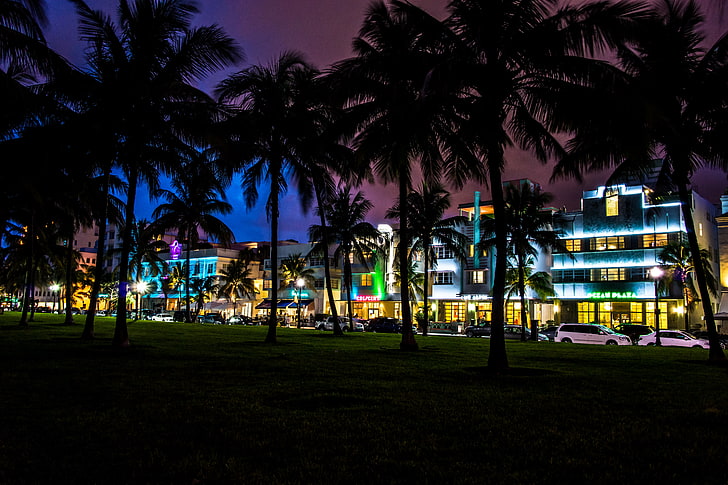 green palm trees, night, palm trees, home, Miami, FL, cars, florida, hotels, vice city, South Beach, HD wallpaper