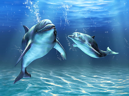 илюстрация на два делфина, море, мехурчета, изкуство, делфини, подводен свят, под вода, HD тапет HD wallpaper