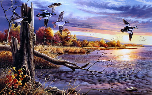 Birds Art Photo Gallery, paisajes, pájaros, galería, foto, Fondo de pantalla HD HD wallpaper