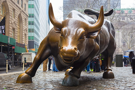 Ню Йорк, бик от Уолстрийт, 4K, Манхатън, боулинг зелен бик, зареждащ бик, HD тапет HD wallpaper