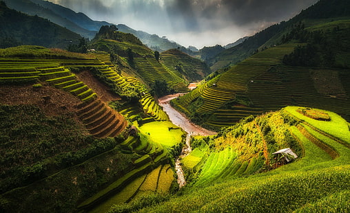 nature, rizière, champ en terrasses, nuages, Fond d'écran HD HD wallpaper