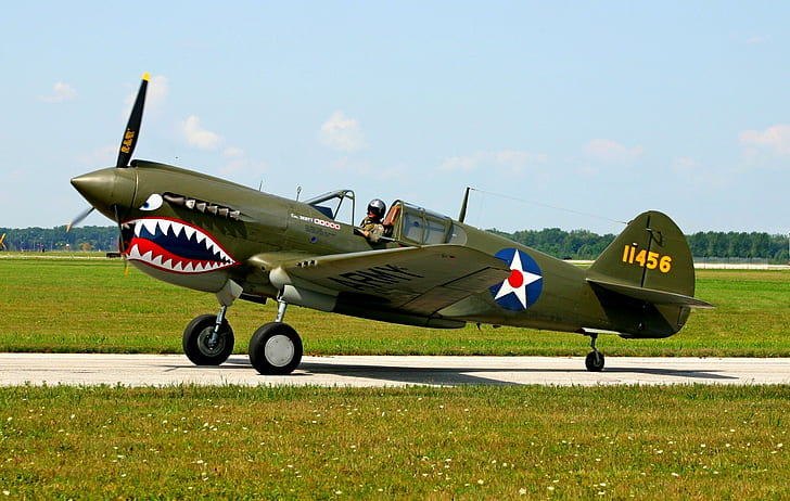 P-40 Warhawk, warhawk, wwii, p-40, aircraft planes, HD wallpaper