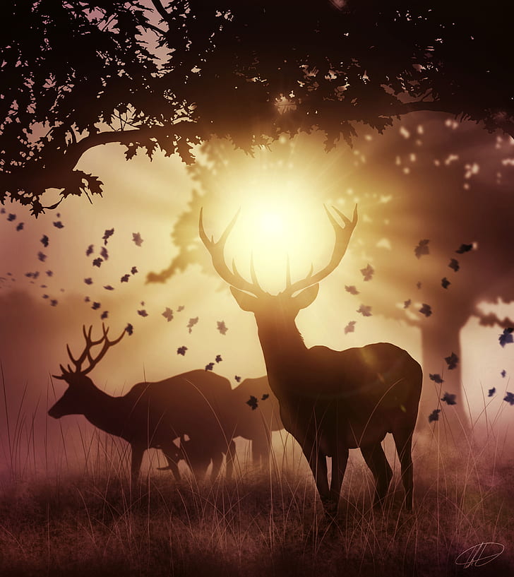 Deers, Mystic, Sunlight, Autumn, Sunset, Silhouette, HD, HD wallpaper