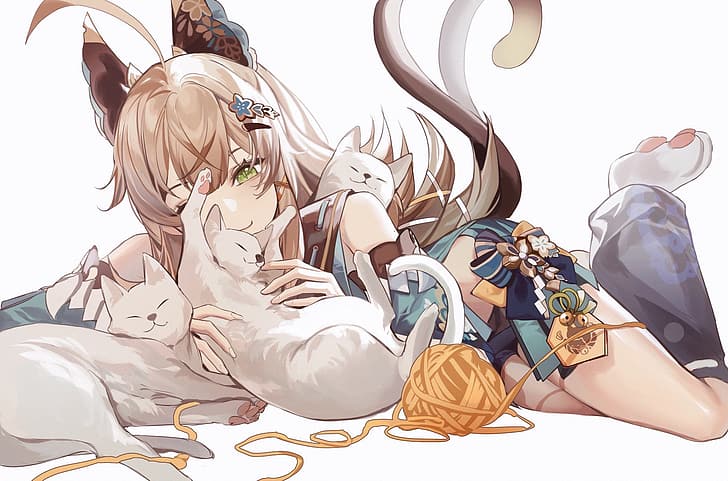 anime girls, cats, cat girl, Kirara (Genshin Impact), Genshin Impact, HD wallpaper