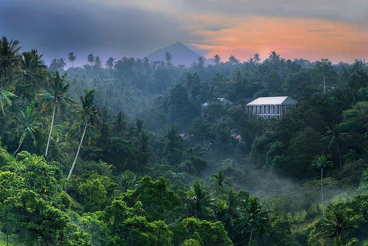 nature paysage forêt tropicale lever du soleil jungles montagne brouillard palmiers bâtiment ciel bali indonésie, Fond d'écran HD