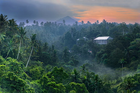 природа пейзаж тропическа гора изгрев джунгли планина мъгла палмови дървета сграда небе Бали Индонезия, HD тапет HD wallpaper