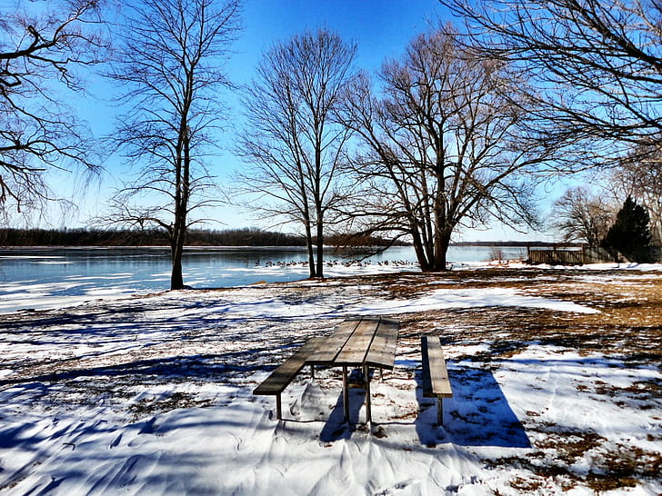 коричневый деревянный стол для пикника на снежном поле возле голых деревьев, снег, зима, дерево, природа, холод - Температура, на улице, сезон, мороз, лед, замерзший, пейзаж, HD обои