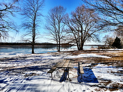brązowy drewniany stół piknikowy na śniegu w pobliżu nagich drzew, śnieg, zima, drzewo, natura, zimno - temperatura, na zewnątrz, pora roku, mróz, lód, mrożone, krajobraz, Tapety HD HD wallpaper