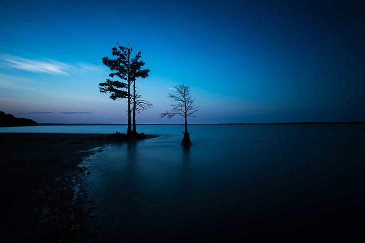 пейзаж, езеро, синьо, нощ, дървета, спокойствие, спокойни води, небе, HD тапет