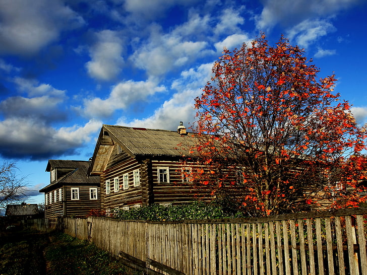 cabine de madeira marrom, outono, cores brilhantes, cabana, norte da Rússia, vila de Arkhangelsk, HD papel de parede