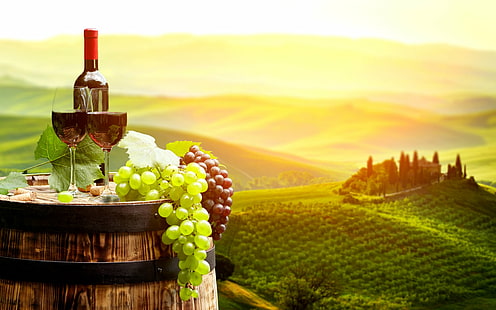 الغذاء والنبيذ والبرميل والفاكهة والزجاج والعنب والمناظر الطبيعية وكروم العنب، خلفية HD HD wallpaper