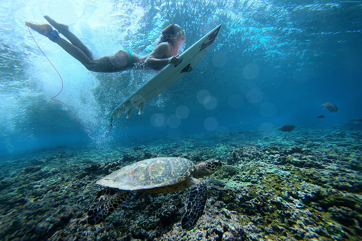 pod wodą, dziewczyna, morze, surfing, Tapety HD