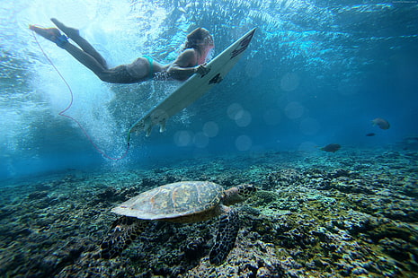 под водой, девушка, море, серфинг, HD обои HD wallpaper