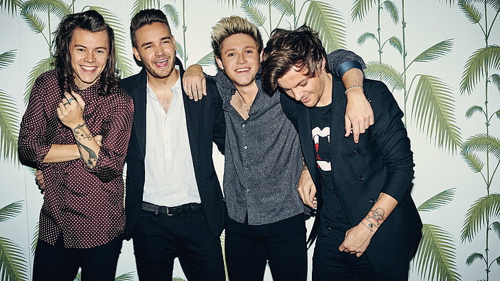 Band (Music), One Direction, HD wallpaper