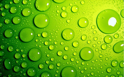 녹색 거품, 물방울, HD 배경 화면 HD wallpaper