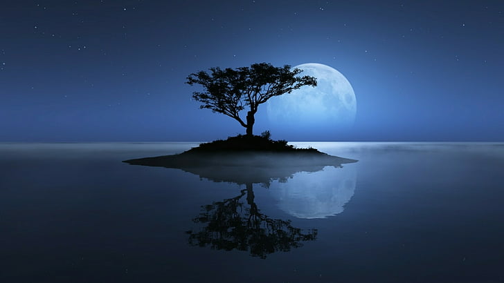 lone tree, island, stars, night sky, lonely tree, starry night, horizon, tree, moon, nature, reflected, reflection, water, calm, sky, moonlight, full moon, HD wallpaper