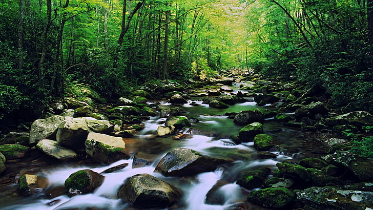 Планинска река Скалисти речни камъни Зелена мъхова гора със зелени дървета Тапет за работен плот 1920 × 1080, HD тапет