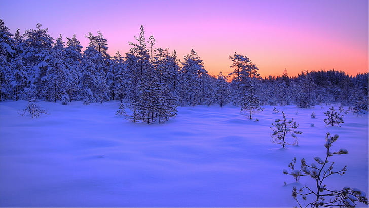 winter scenes desktop backgrounds  3840x2160, HD wallpaper