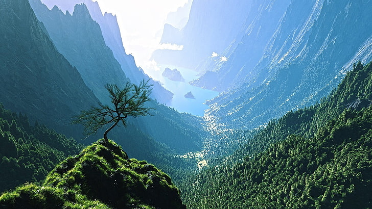montaña y cuerpo de agua, agua, árboles, naturaleza, valle, montañas, paisaje, Fondo de pantalla HD