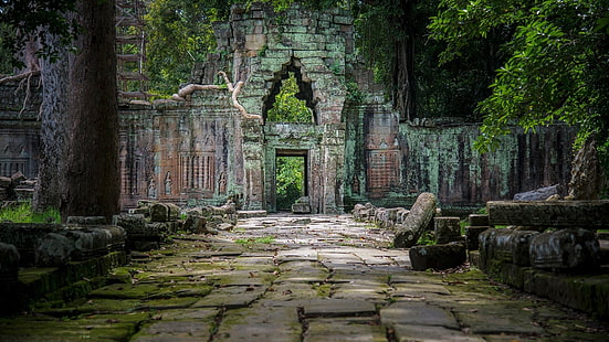 Tempel, tempel, Kambodja, religiöst, sten, ruin, träd, HD tapet HD wallpaper