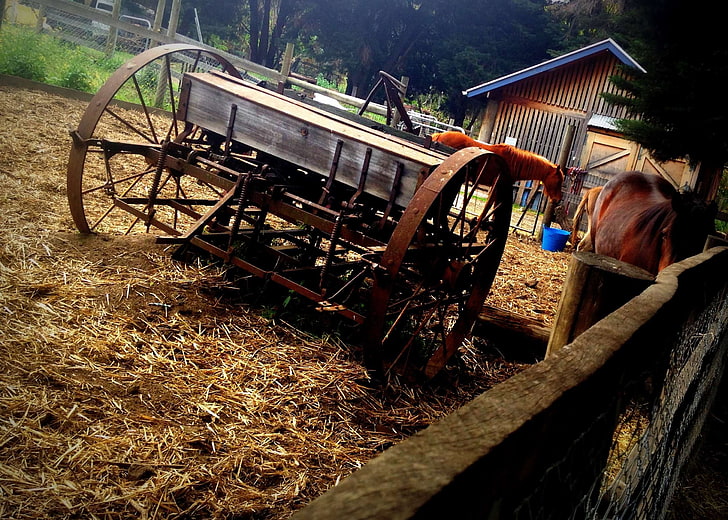 cart, farm, metal, old cart, paddock, shed, straw, wheels, HD wallpaper